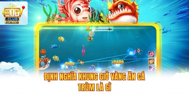 Định nghĩa khung giờ vàng ăn cá trùm là gì