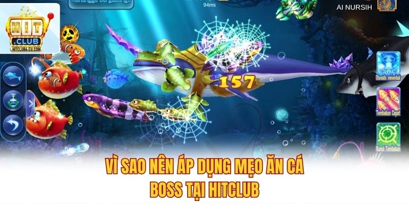 Vì sao nên áp dụng mẹo ăn cá Boss tại Hitclub