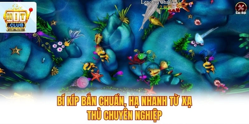 Bí kíp bắn chuẩn, hạ nhanh từ xạ thủ